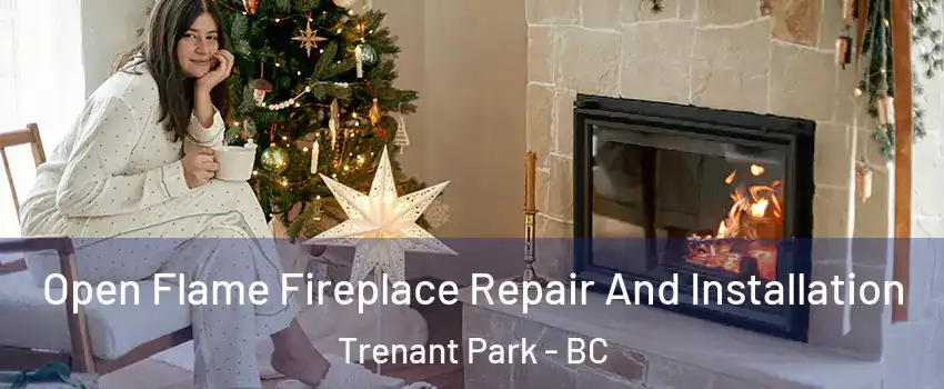  Open Flame Fireplace Repair And Installation Trenant Park - BC