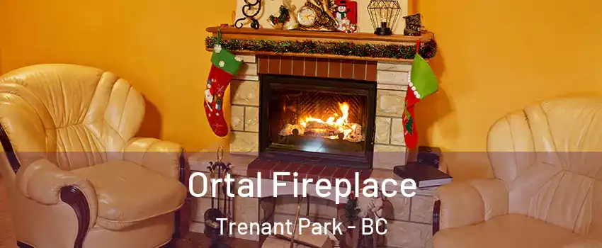  Ortal Fireplace Trenant Park - BC