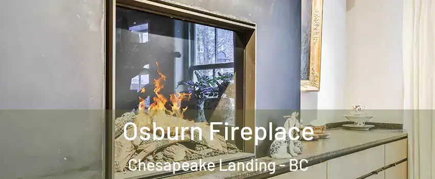  Osburn Fireplace Chesapeake Landing - BC