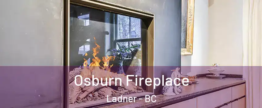  Osburn Fireplace Ladner - BC