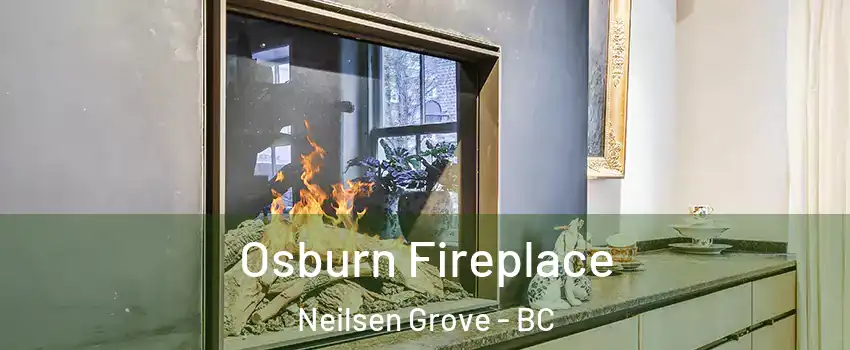  Osburn Fireplace Neilsen Grove - BC