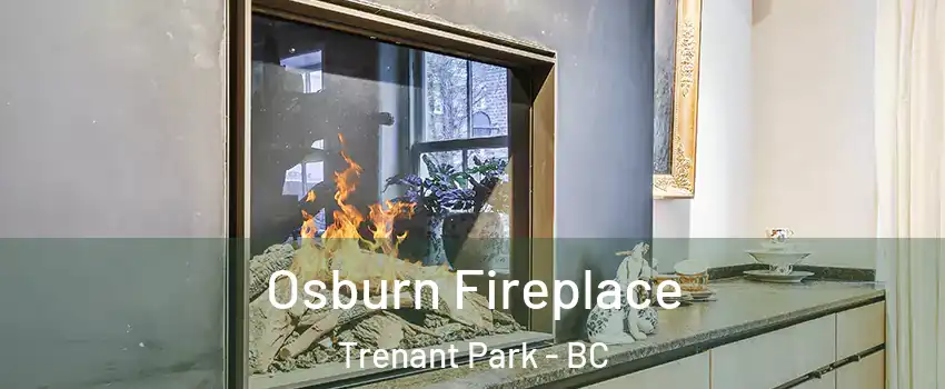  Osburn Fireplace Trenant Park - BC