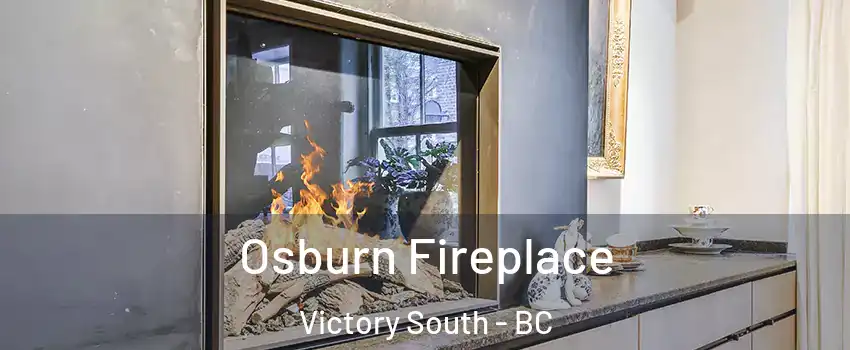  Osburn Fireplace Victory South - BC