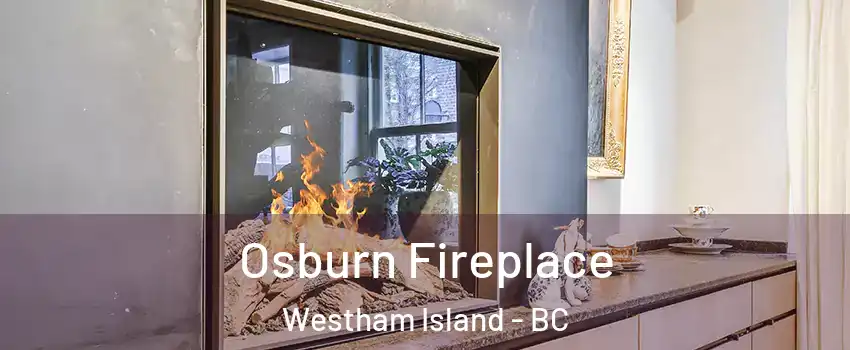  Osburn Fireplace Westham Island - BC