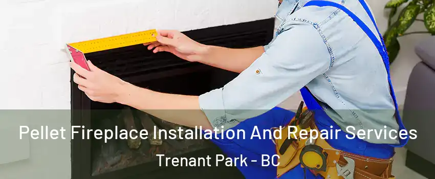  Pellet Fireplace Installation And Repair Services Trenant Park - BC