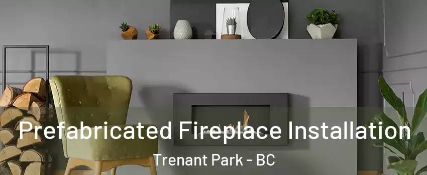  Prefabricated Fireplace Installation Trenant Park - BC