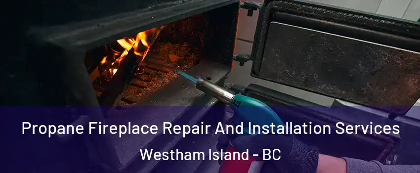  Propane Fireplace Repair And Installation Services Westham Island - BC