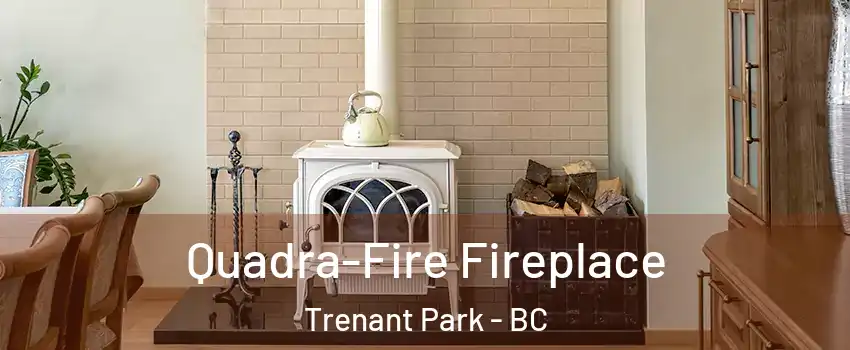  Quadra-Fire Fireplace Trenant Park - BC