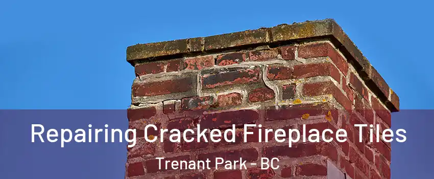  Repairing Cracked Fireplace Tiles Trenant Park - BC