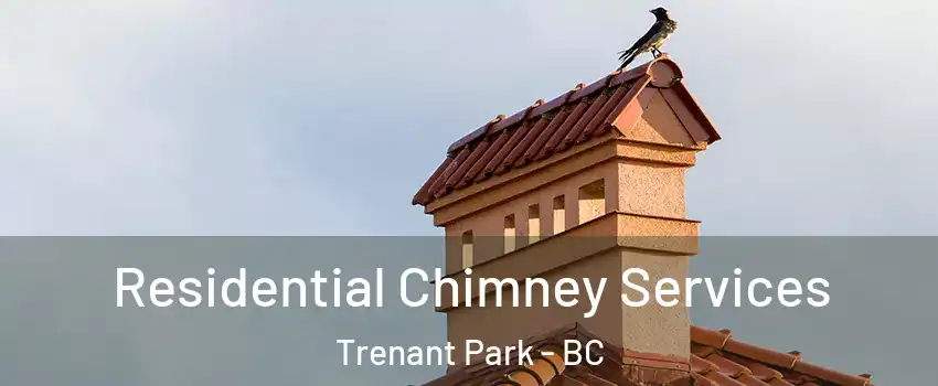  Residential Chimney Services Trenant Park - BC