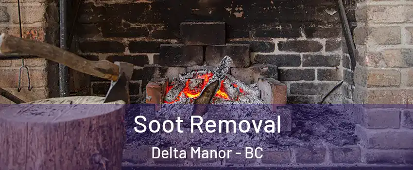  Soot Removal Delta Manor - BC