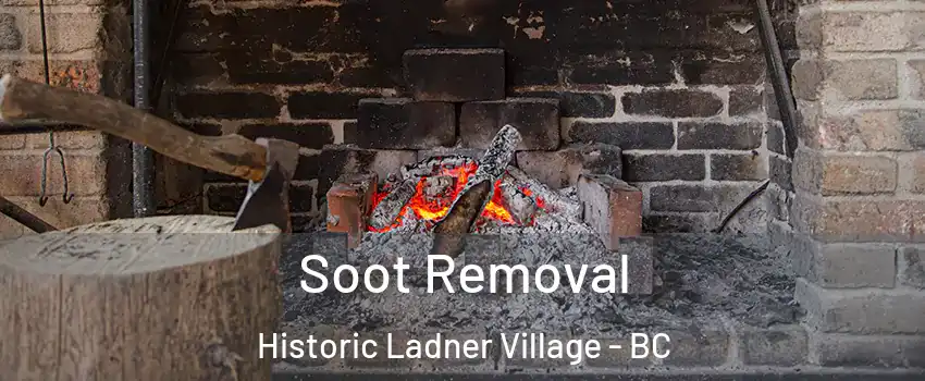  Soot Removal Historic Ladner Village - BC