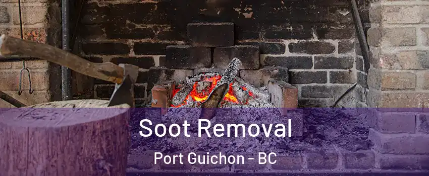 Soot Removal Port Guichon - BC