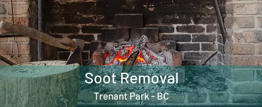  Soot Removal Trenant Park - BC