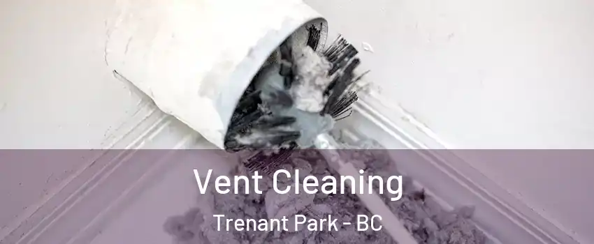  Vent Cleaning Trenant Park - BC