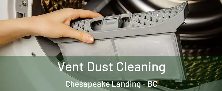  Vent Dust Cleaning Chesapeake Landing - BC