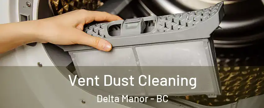  Vent Dust Cleaning Delta Manor - BC