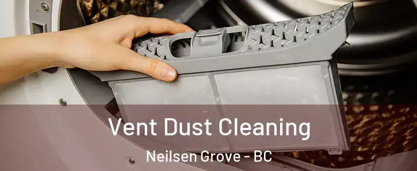  Vent Dust Cleaning Neilsen Grove - BC