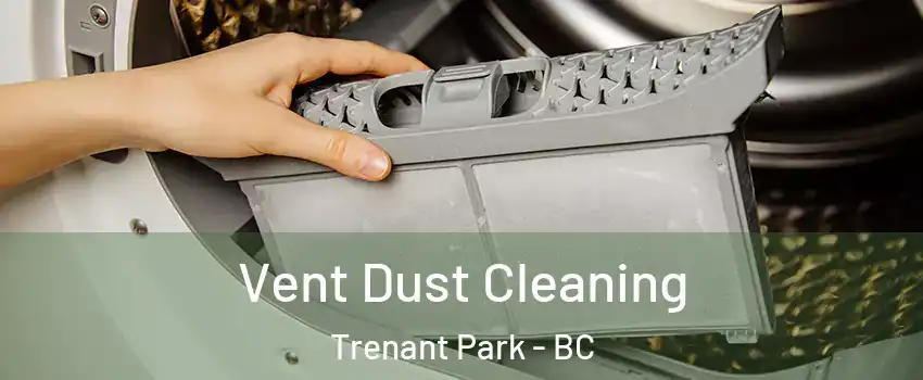  Vent Dust Cleaning Trenant Park - BC
