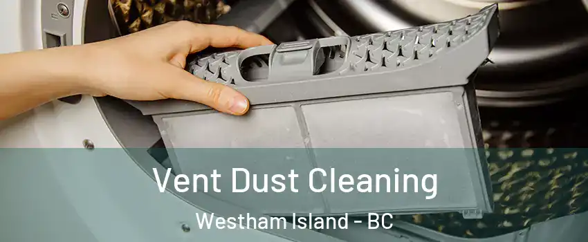  Vent Dust Cleaning Westham Island - BC