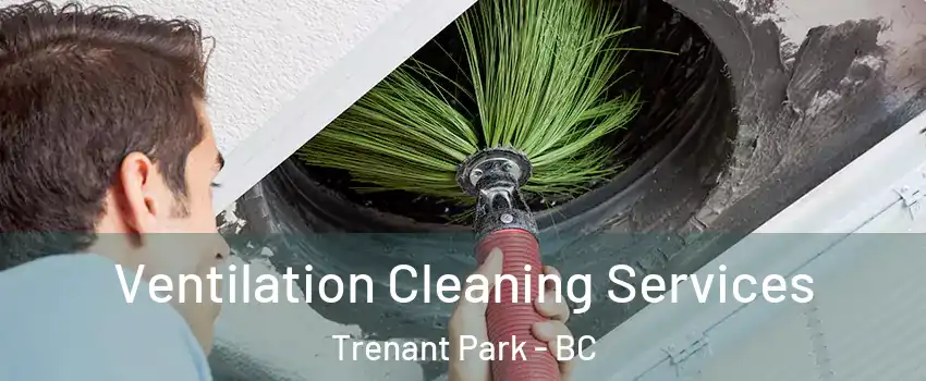  Ventilation Cleaning Services Trenant Park - BC
