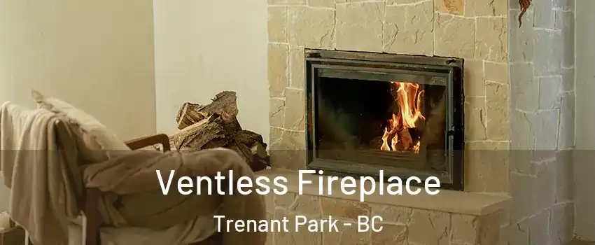  Ventless Fireplace Trenant Park - BC