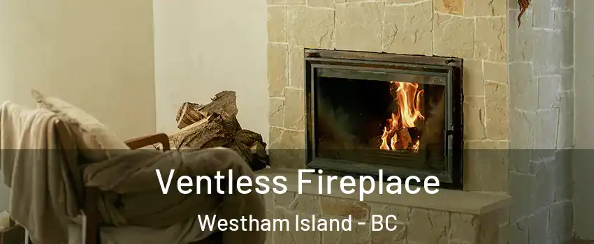  Ventless Fireplace Westham Island - BC
