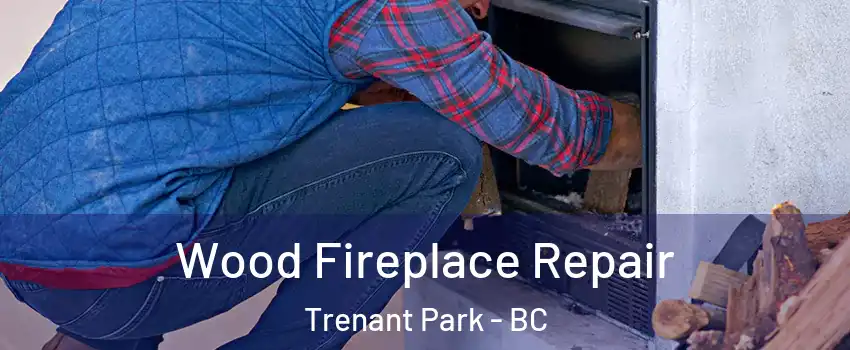  Wood Fireplace Repair Trenant Park - BC