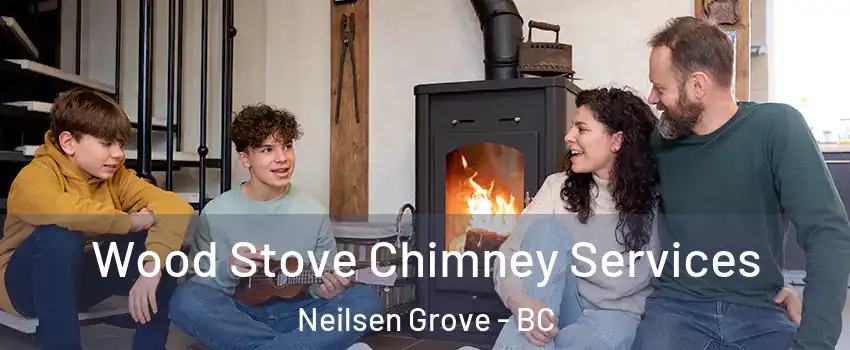  Wood Stove Chimney Services Neilsen Grove - BC