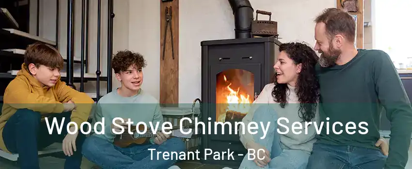  Wood Stove Chimney Services Trenant Park - BC