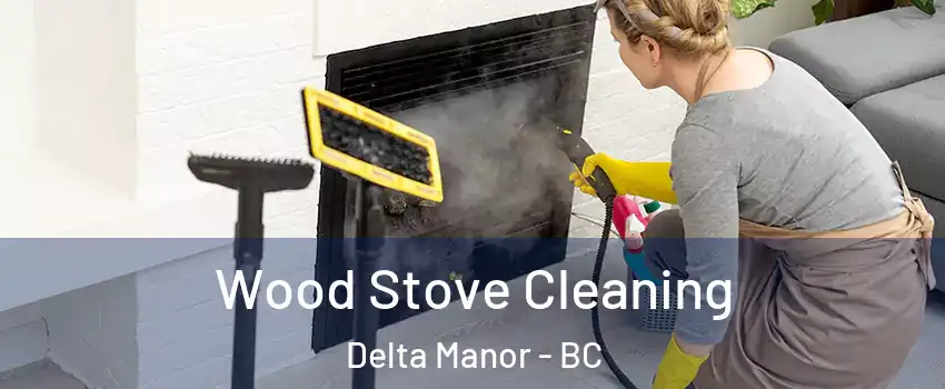 Wood Stove Cleaning Delta Manor - BC