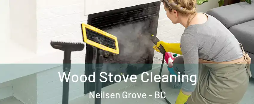  Wood Stove Cleaning Neilsen Grove - BC