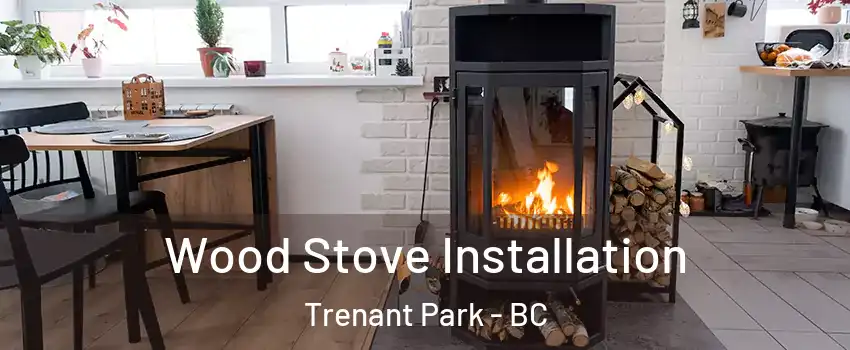  Wood Stove Installation Trenant Park - BC