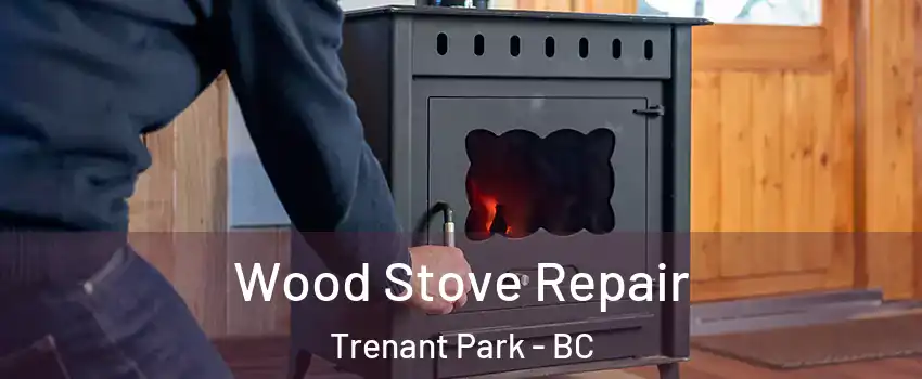  Wood Stove Repair Trenant Park - BC
